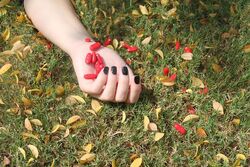 Overdose_250x167.jpg