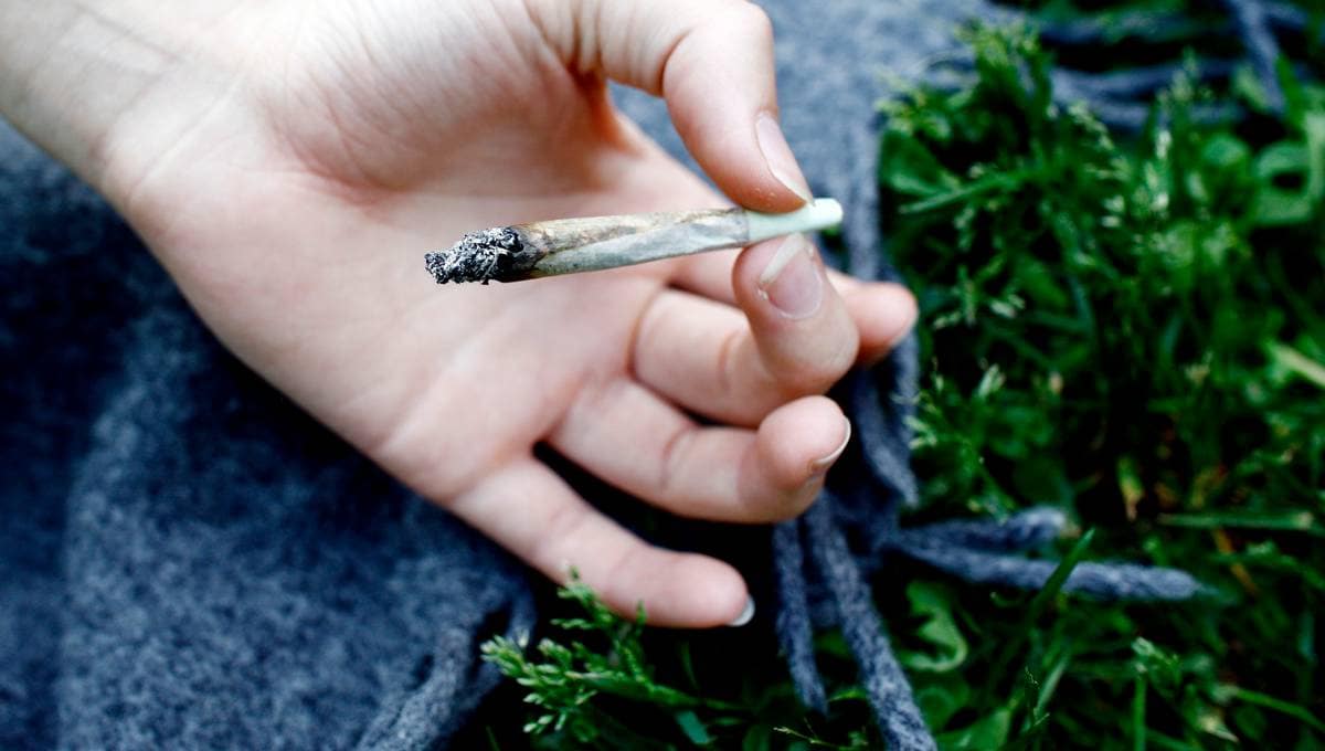 Hasjavvenning til hele landet