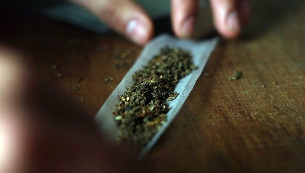 Regular Pot Use is Bad for Young Brains