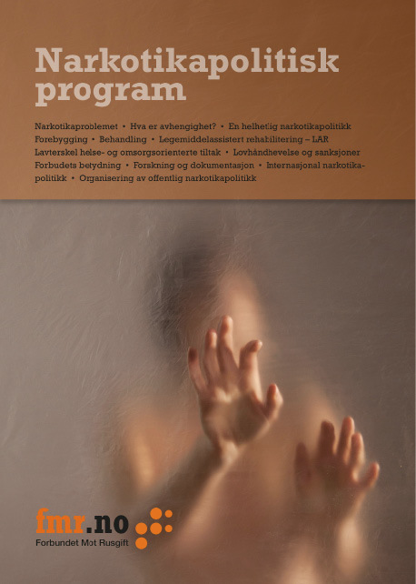 Narkotikaproblemet: et stort samfunnsproblem (nr 113)