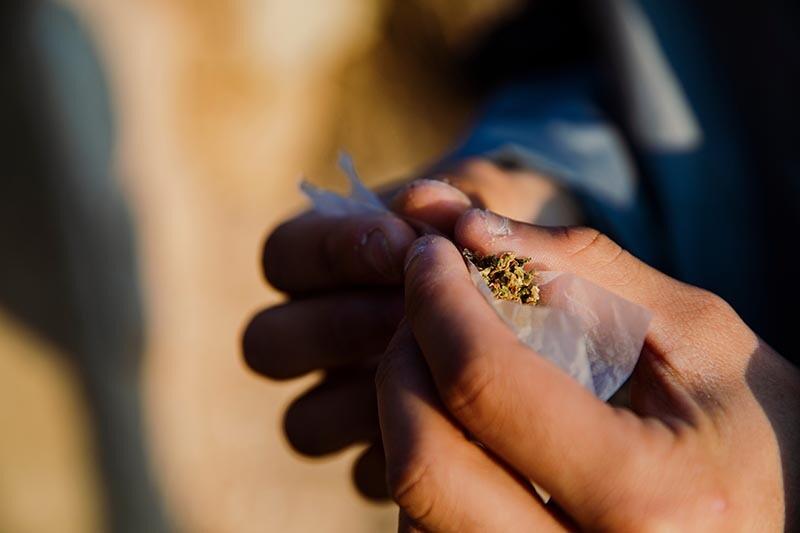 Bruk av cannabis blant unge